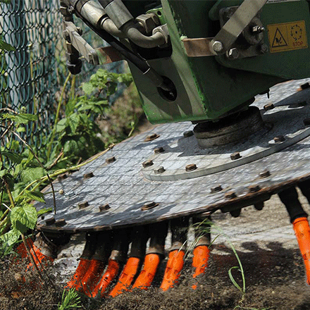 Ogräsborste med stjärnform