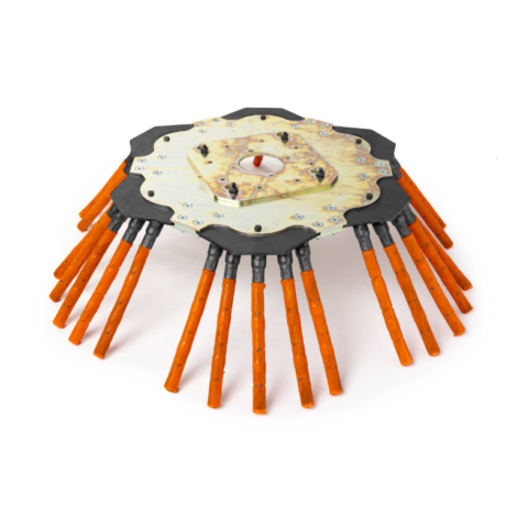 Ogräsborste med stjärnform